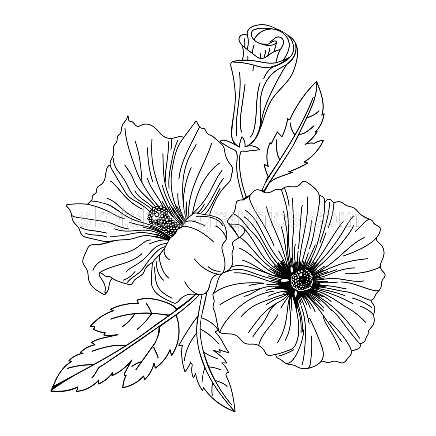 Hibiscus flower illustration. Modern botanical drawing for pattern, logo, template, banner, posters, invitation, and greeting card design. Black hibiscus outline. Tropical flower design. Illustration